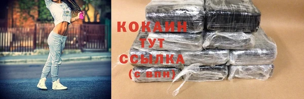 PSILOCYBIN Белокуриха