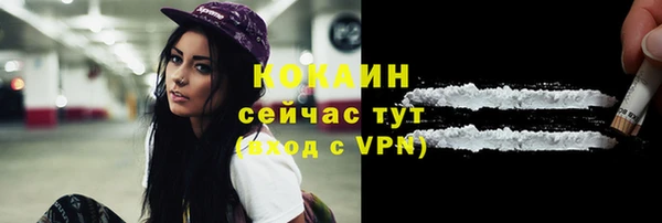 гашик Белоозёрский