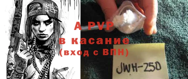 PSILOCYBIN Белокуриха