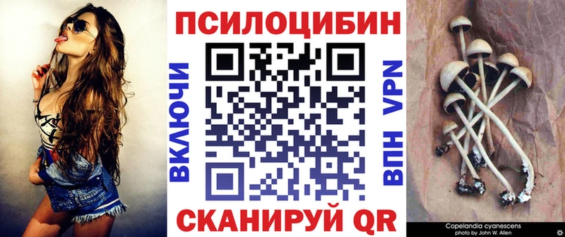 закладка  Тула  Галлюциногенные грибы мухоморы 